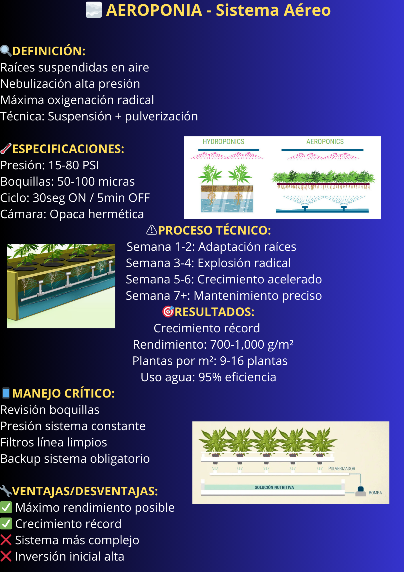 Sistema Hidropónico 3